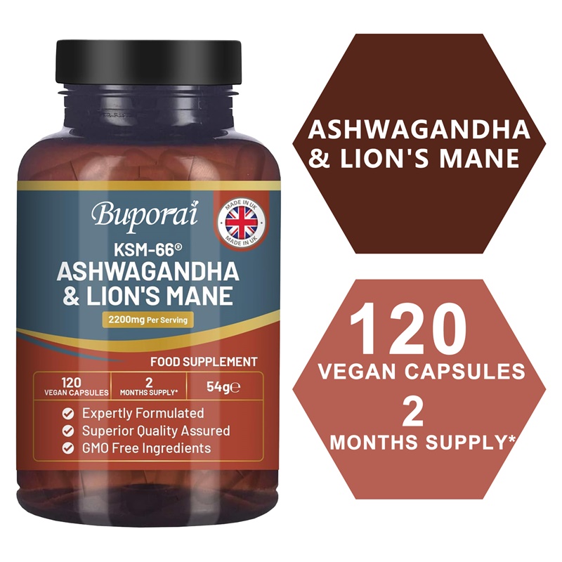 Ginkgo Biloba Extract - Ashwagandha e Lion's Mane - Alívio