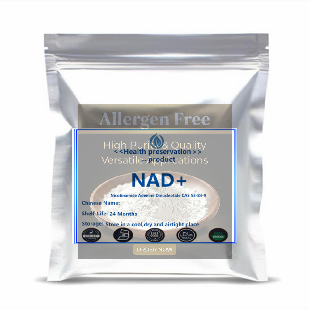 Ginkgo Biloba Extract - Beta Nicotinamida Adenina Dinucleotídeo NAD+ em