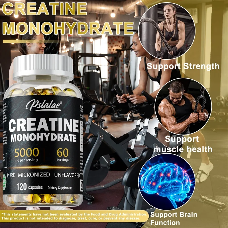Cápsula de monohidrata de crea - Ginkgo Biloba Extract avaliação e preço